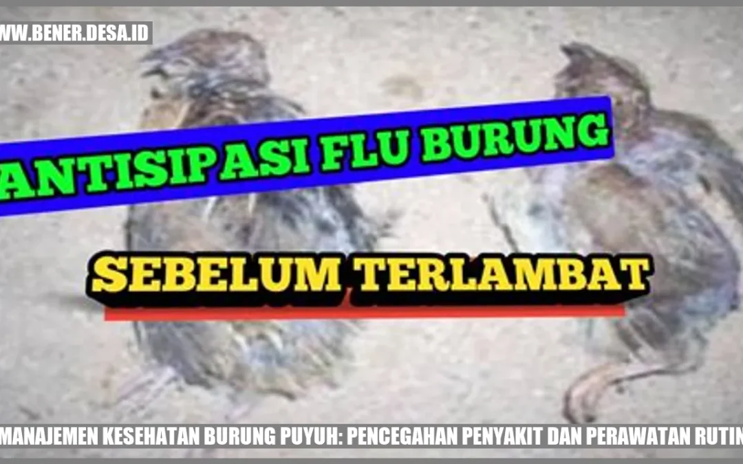 Salamun Puyuh: Solusi Layanan Cilacap yang Menghargai Warisan